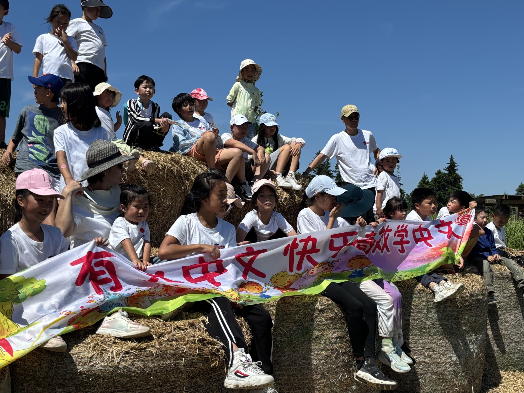 图片_20260205205210_482_8.jpg